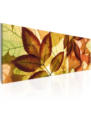 Quadro - collage - foglie