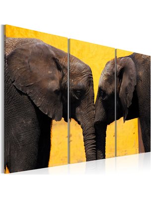 Quadro - Coppia di elefanti che si bacia