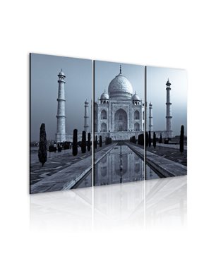 Quadro - Taj Mahal di notte, India