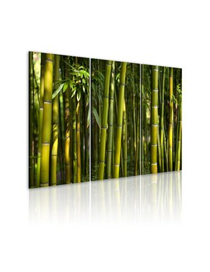 Quadro - Bambu' e il verde