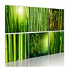 Quadro - Bambu' in diverse versioni