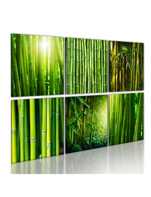 Quadro - Bambu' in diverse versioni