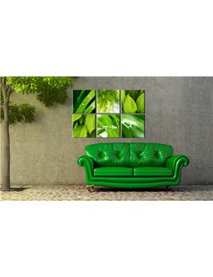 Quadro - Verde intenso delle foglie