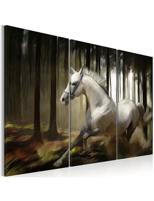 Quadro - Cavallo bianco tra gli alberi