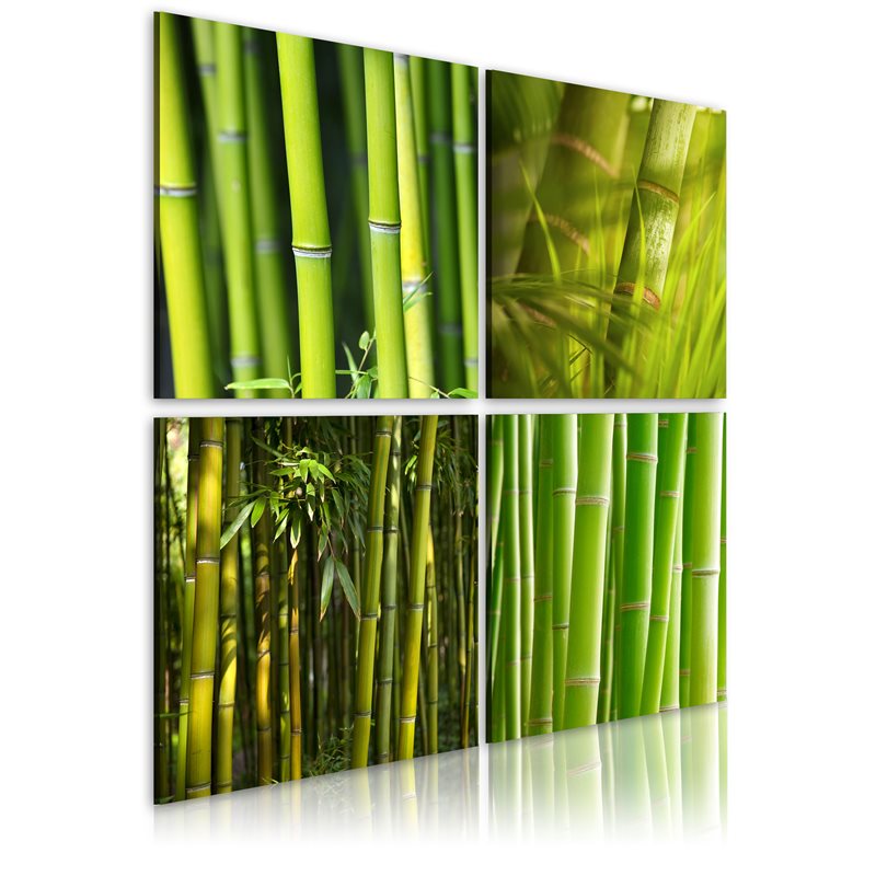 Quadro - Bambù