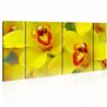 Quadro - Orchids - intensity of yellow color