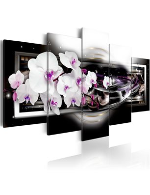 Quadro - Orchidee su sfondo nero