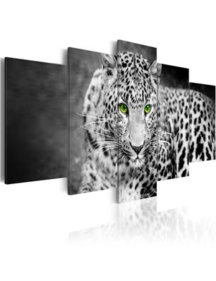 Quadro - Leopardo - bianco e nero