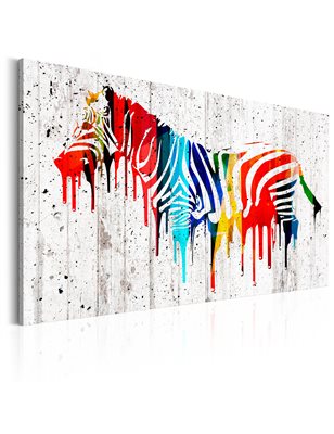 Quadro - Colourful Zebra