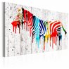 Quadro - Colourful Zebra