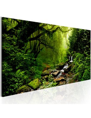 Quadro - The Fairytale Forest