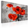 Quadro - Steel Poppies