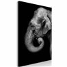 Quadro - Portrait of Elephant (1 Part) Vertical