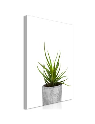 Quadro - Haworthia (1 Part) Vertical