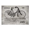 Fotomurale - Bicycle (Vintage)