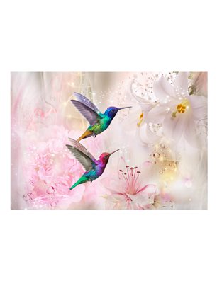 Fotomurale - Colourful Hummingbirds (Pink)