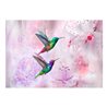 Fotomurale - Colourful Hummingbirds (Purple)