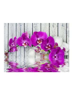 Fotomurale - Violet orchids with water reflexion