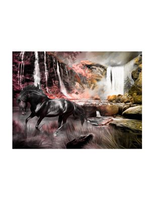 Fotomurale - Cavallo nero vicino un cascata