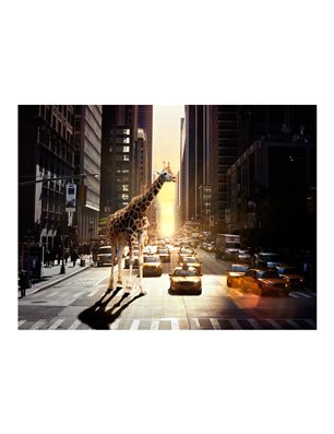 Fotomurale - Giraffa in una grande città
