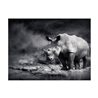 Fotomurale - Rinoceronte in meditazione