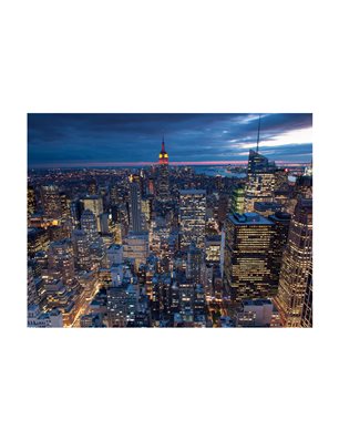 Fotomurale - New York - notte