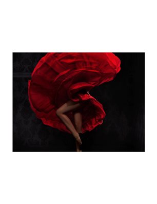 Fotomurale - Ballerina flamenco