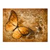 Fotomurale - butterfly (sepia)