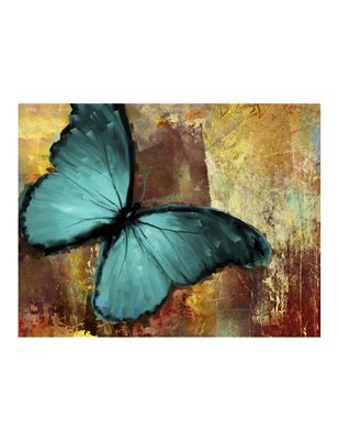 Fotomurale - Painted butterfly