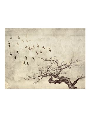Fotomurale - Flock of birds