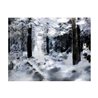 Fotomurale - Foresta invernale