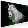 Quadro - Shining Tiger (1 Part) Green Narrow