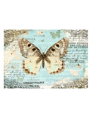 Fotomurale - Cartolina con farfalla