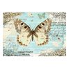 Fotomurale - Cartolina con farfalla