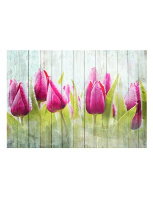 Fotomurale - Tulipani su un legno bianco