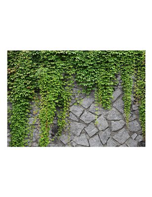 Fotomurale - Muro verde