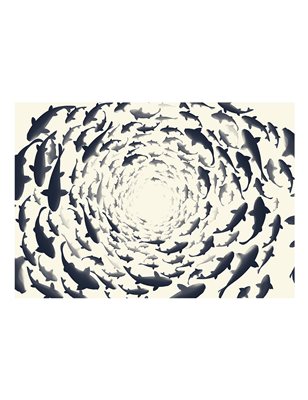 Fotomurale - Fish swirl