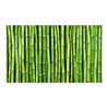 Fotomurale - Parete di bambù