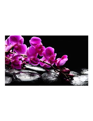 Fotomurale - Momento di relax: un'orchidea e pietre zen