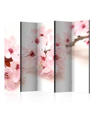 Paravento -  Cherry Blossom II [Room Dividers]