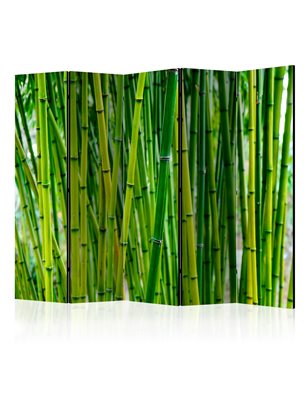 Paravento - Bamboo Forest II [Room Dividers]