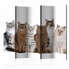 Paravento - Sweet Cats II [Room Dividers]