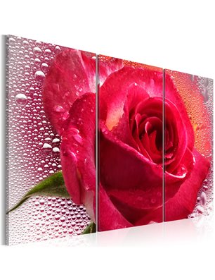 Quadro - Lady Rose - triptych