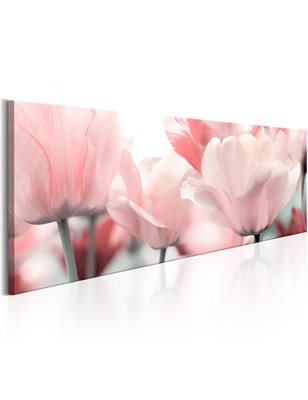 Quadro - Pink Tulips