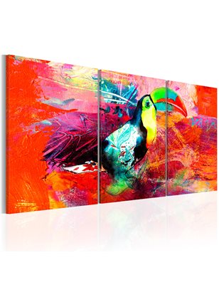 Quadro - Colourful Toucan