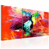 Quadro - Colourful Toucan