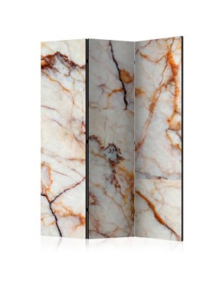 Paravento - Marble Plate [Room Dividers]