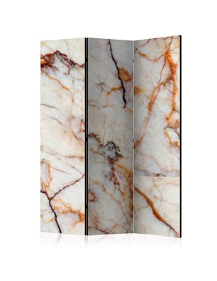 Paravento - Marble Plate [Room Dividers]