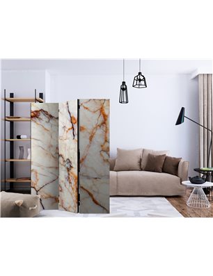 Paravento - Marble Plate [Room Dividers]