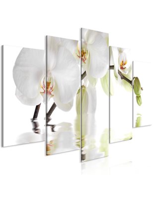 Quadro - Wonderful Orchid (5 Parts) Wide